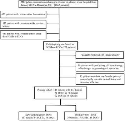 Magnetic resonance imaging radiomics to differentiate ovarian sex cord-stromal tumors and primary epithelial ovarian cancers